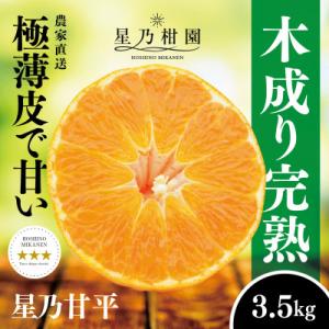 星乃みかん園の星乃甘平(3.5kg)【D45-46】