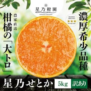 ふるさと納税 八幡浜市 【訳あり】星乃みかん園の星乃せとか(5kg)【D45-60】