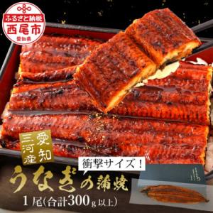 規格外:三河産鰻蒲焼き冷凍×1尾(300g以上)A135-14