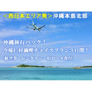 ふるさと納税 今帰仁村 &lt;西日本エリア発&gt;沖縄旅行パック　今帰仁満喫チョイスプラン3日間!