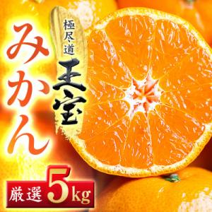 【愛媛名産】玉宝みかん(5kg)【D64-1】