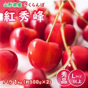 ふるさと納税 山形県 ※数量・※  山形県産 紅秀峰  