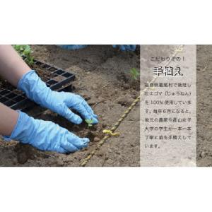 ふるさと納税 葛尾村 【純国産】エゴマ油(14...の詳細画像2