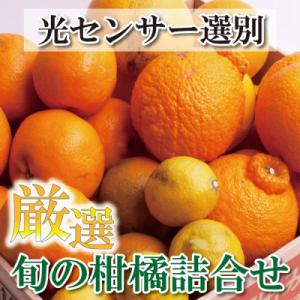 ふるさと納税 九度山町 ＜1月より発送＞厳選 柑橘詰合せ2kg+60g(傷み補償分)【旬の柑橘詰め合...