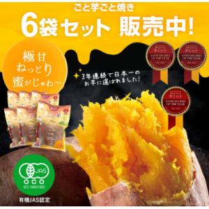 【さつまいもの品評会で日本一獲得!】ごと焼き ごと芋(冷凍焼き芋/安納芋)6袋セット(計1.8kg)