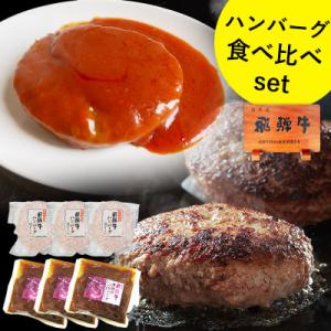 ふるさと納税 可児市 肉のひぐち 飛騨牛 100%使用 ハンバーグ食べ比べセット