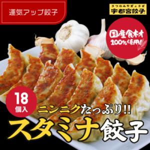 宇都宮餃子 運気アップ餃子　スタミナ餃子18個　保存料不使用