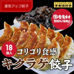 宇都宮餃子 運気アップ餃子　ちょう×3いい感じ餃子18個　保存料不使用