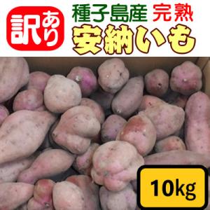 中園ファームの種子島安納いも　訳あり品　10kg
