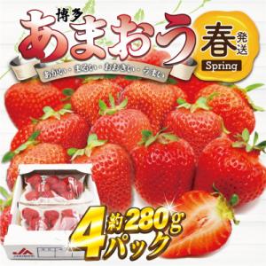 ふるさと納税 太宰府市 【2026年2月上旬〜4月下旬発送予定】博多あまおう4パック(春)