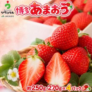 【2026年12月上旬～27年1月下旬発送予定】博多あまおう(冬)250g-270g×4P/太宰府市