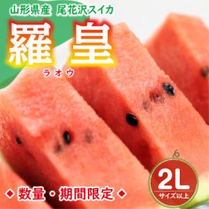【令和8年発送 先行受付】※数量・期間限定※　 山形県産スイカ　羅皇　2Lサイズ以上 1玉