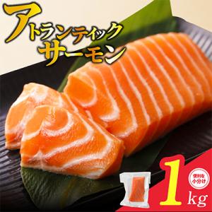 アトランティックサーモン 1kg ポーション 小分け 3パック nbj0006