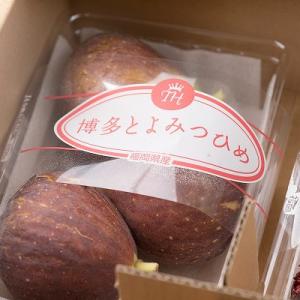 【先行受付】福岡限定!ブランドいちじく「とよみつひめ」約300g×4パック(豊前市)