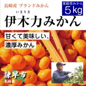 【先行予約】《伊木力みかん》家庭用みかん(5kg)