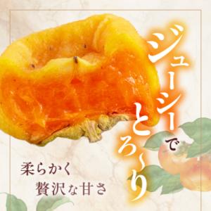 ふるさと納税 橋本市 名産 おかもとのあんぽ柿...の詳細画像1