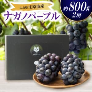 【先行受付 2026年発送】ナガノパープル2房セット