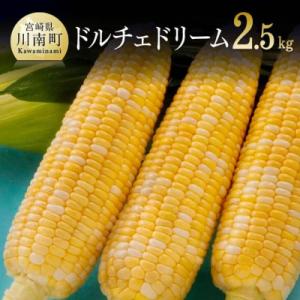 ふるさと納税 川南町 《令和5年発送》朝どれ!スイートコーン「守部さん家のドルチェドリーム」2.5kg