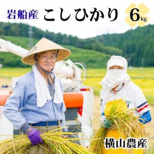 R7年産 関川村産こしひかり 精米6kg(2kg×3袋) ふっくら美味しさ 岩船米 [横山農産]