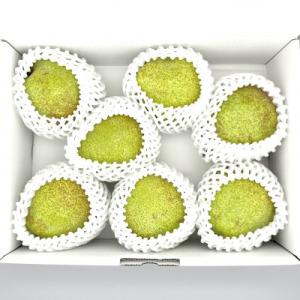 大玉西洋梨 約2.8kg(4～11個入) 糖度14度以上の極上品 【先行受付】