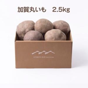 加賀伝統野菜!令和8年度産　加賀丸いも　2.5kg