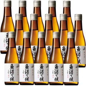 ふるさと納税 南魚沼市 日本酒 八海山 純米酒 魚沼で候 300ml×15本 新潟県魚沼地域限定