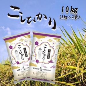 令和7年産千葉県産コシヒカリ 精米 10kg (5kg×2袋)