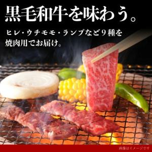 ふるさと納税 都城市 【国産黒毛和牛】焼肉食べ...の詳細画像3