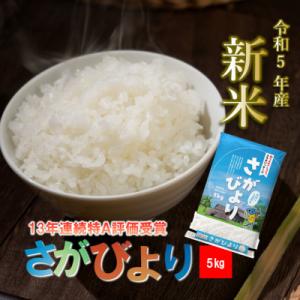 ふるさと納税 吉野ヶ里町 令和5年産 佐賀県産さがびより白米 5kg(5kg×1袋)