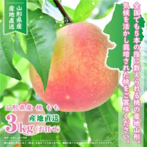 ふるさと納税 山形県 【先行受付(2026年度...の詳細画像2