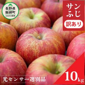 2026年12月以降出荷 訳あり りんご サンふじ 10kg 光センサー