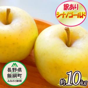 ふるさと納税 飯綱町 2024年11月以降出荷 訳あり りんご シナノゴールド 約10kg 光センサー選果 24〜50玉