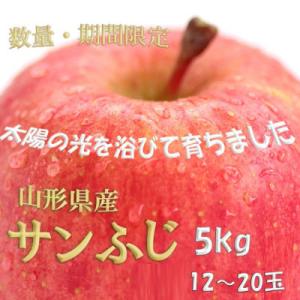 ふるさと納税 山形県 【令和8年度産先行受付】※...の商品画像