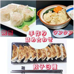 ふるさと納税 花巻市 カスイ 手作り 餃子3種・焼売・ワンタン詰合せセット(5種類)｜y-sf