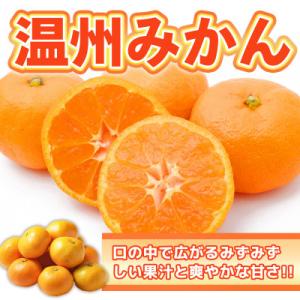 佐賀県産温州みかん 5kg(吉野ヶ里町)