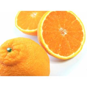 ふるさと納税 吉野ヶ里町 佐賀県産不知火(しらぬい) 2kg M〜3Lサイズ(吉野ヶ里町)