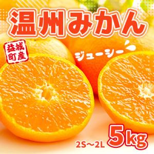 益城町産　温州みかん　約5kg