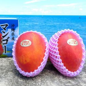 ふるさと納税 久米島町 【2026年7月上旬か...の詳細画像1