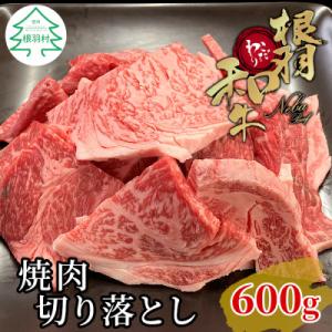 国産黒毛和牛 根羽こだわり和牛 焼肉切り落とし 600g