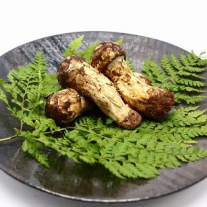 ふるさと納税 山形県 山形県産 松茸 約150g