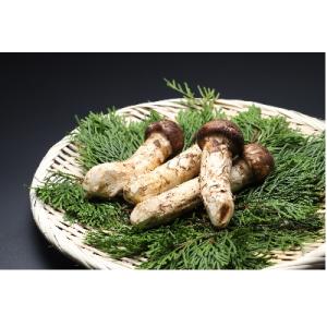 ふるさと納税 山形県 山形県産 松茸　約2〜10本(約200g)