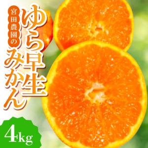 【ゆら早生】宮田農園の温州みかん　4kg