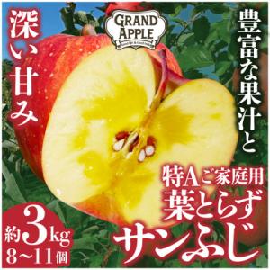 皮ごとバリッ!葉とらずサンふじ　特Aご家庭用 約3kg