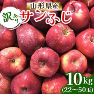 ふるさと納税 山形県 [訳あり]山形県産 サンふじ りんご 10kg バラ詰め ご自宅用