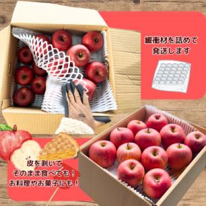 ふるさと納税 山形県 【訳あり】山形県産 サン...の詳細画像1