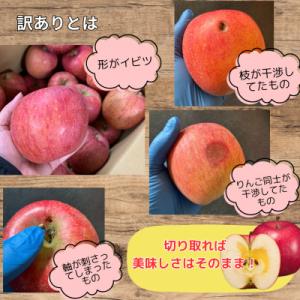 ふるさと納税 山形県 【訳あり】山形県産 サン...の詳細画像2