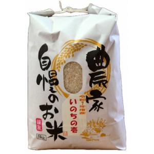 新潟県産 糸魚川産  令和7年産 いのちの壱 100% 精米 5kg