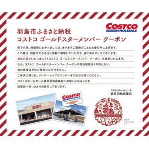 ふるさと納税 羽島市 コストコホールセールジャパン株式会社　岐阜羽島倉庫店限定　ゴールドスター