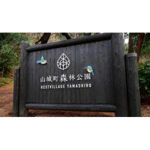 ふるさと納税 木津川市 【京都府木津川市　山城森林公園】デイキャンプ1日体験券+野点セット(レンタル...