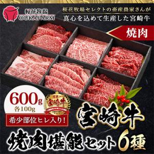 【ヒレ入り!】宮崎牛6種盛り焼肉堪能セット600g